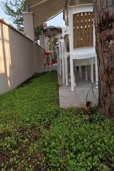 Vira Hotel Dalyan Esterno foto